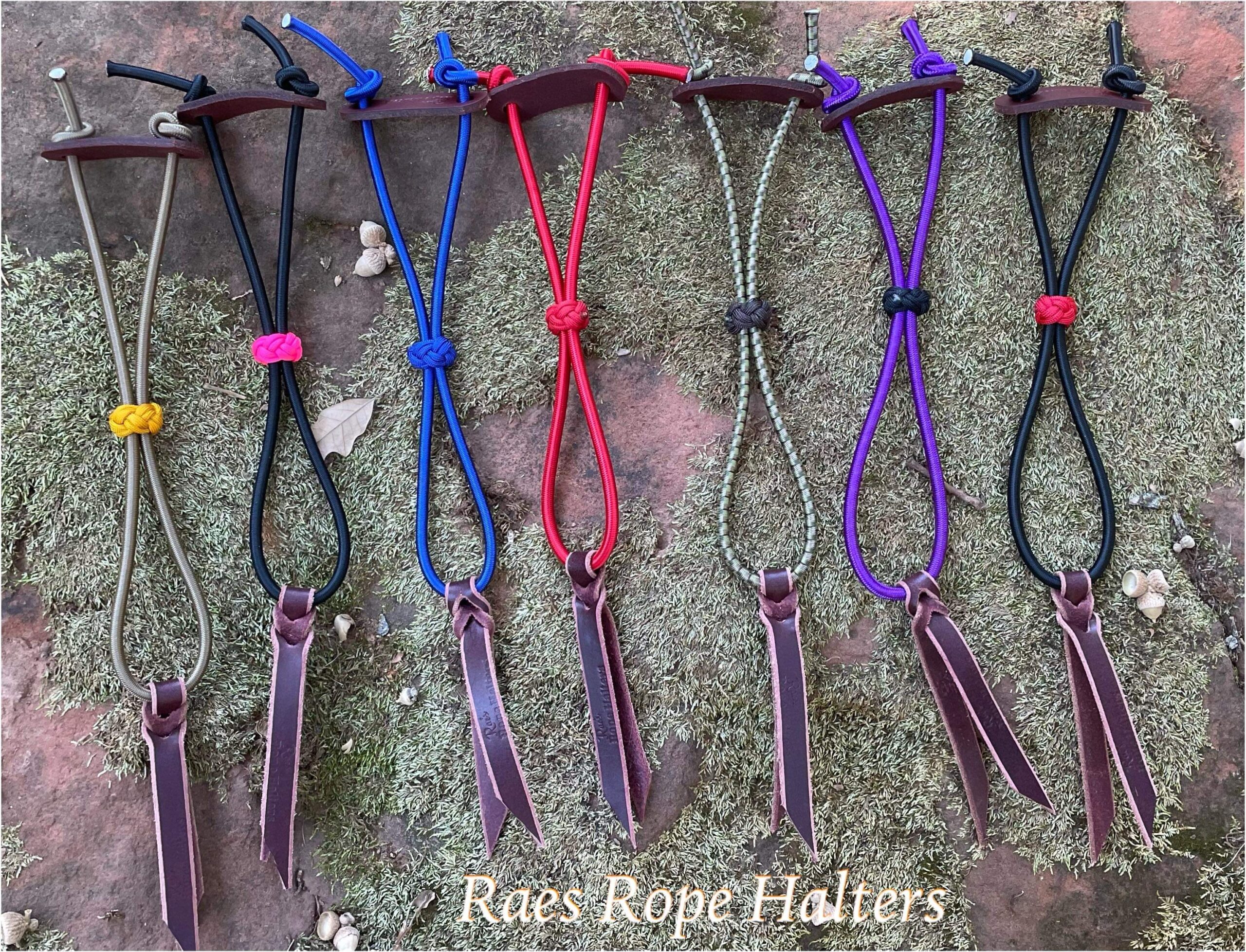 BUNGEE ROPE HOLDER Rae's Rope Halters