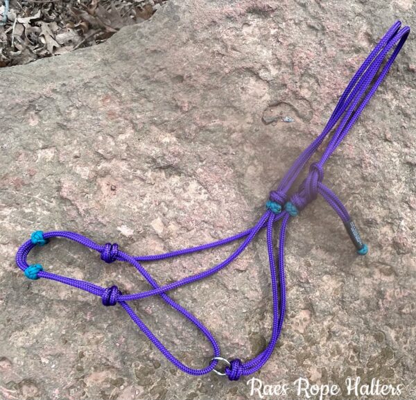 TRAINING/LUNGING HALTER