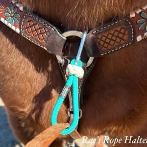 TIE DOWN KEEPER W/CARABINER