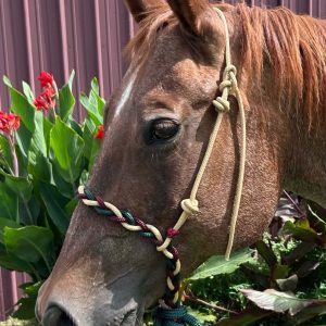 Loping Hack